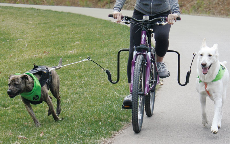 Прежде чем взять собаку на велосипедную прогулку, убедитесь, что ей будет удобно бежать рядом с велосипедом. Фото liveabout.com