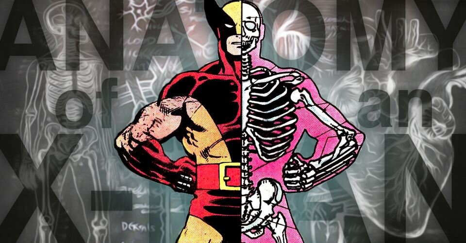 Пять интересных фактов о Росомахе!