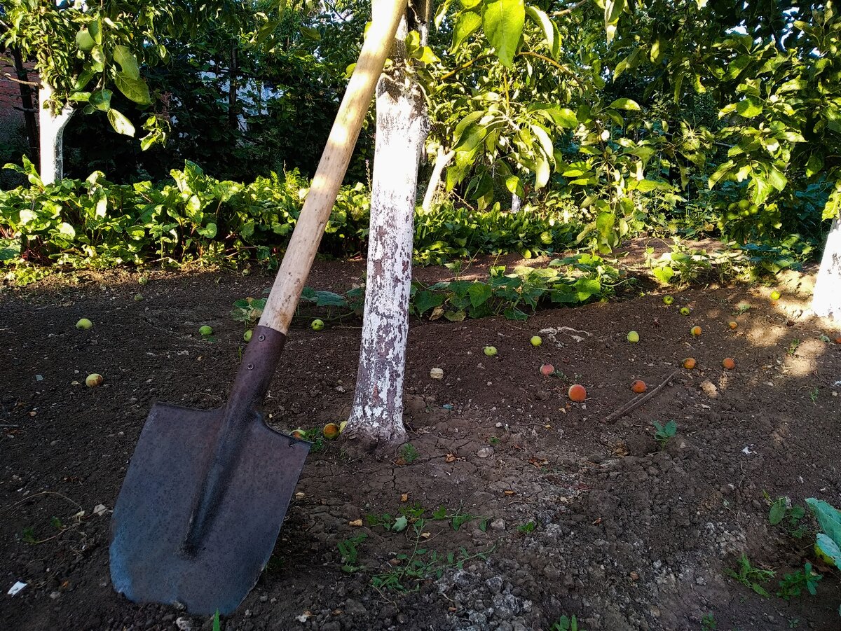 Фото автора.