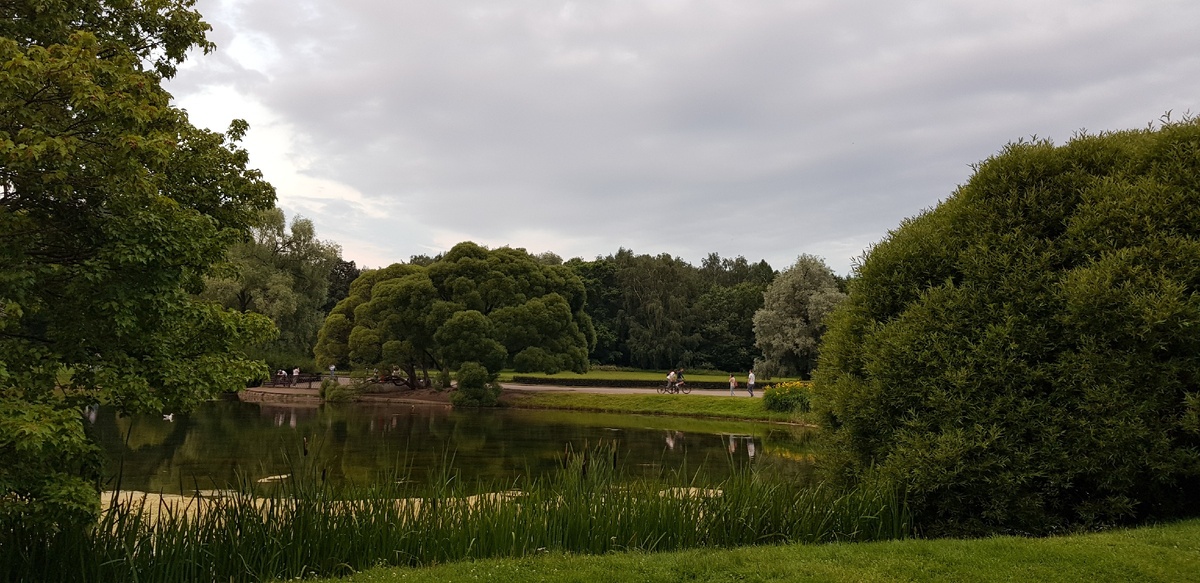 Ботанический сад