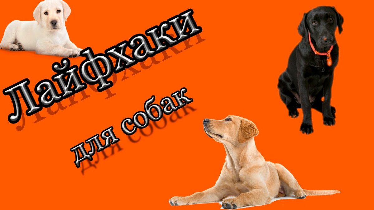 Источник https://www.youtube.com/watch?v=9kFTV1qEzfg