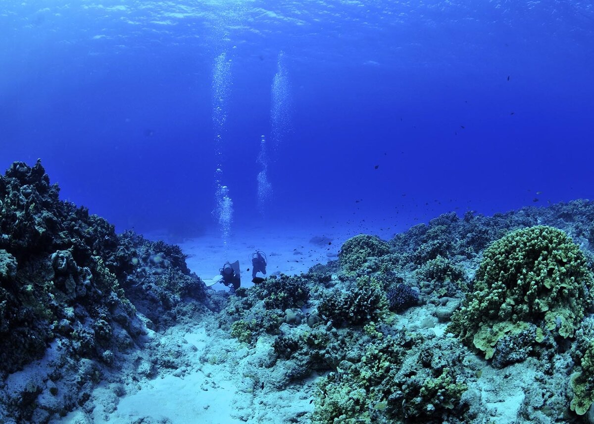 Водолазы в падине