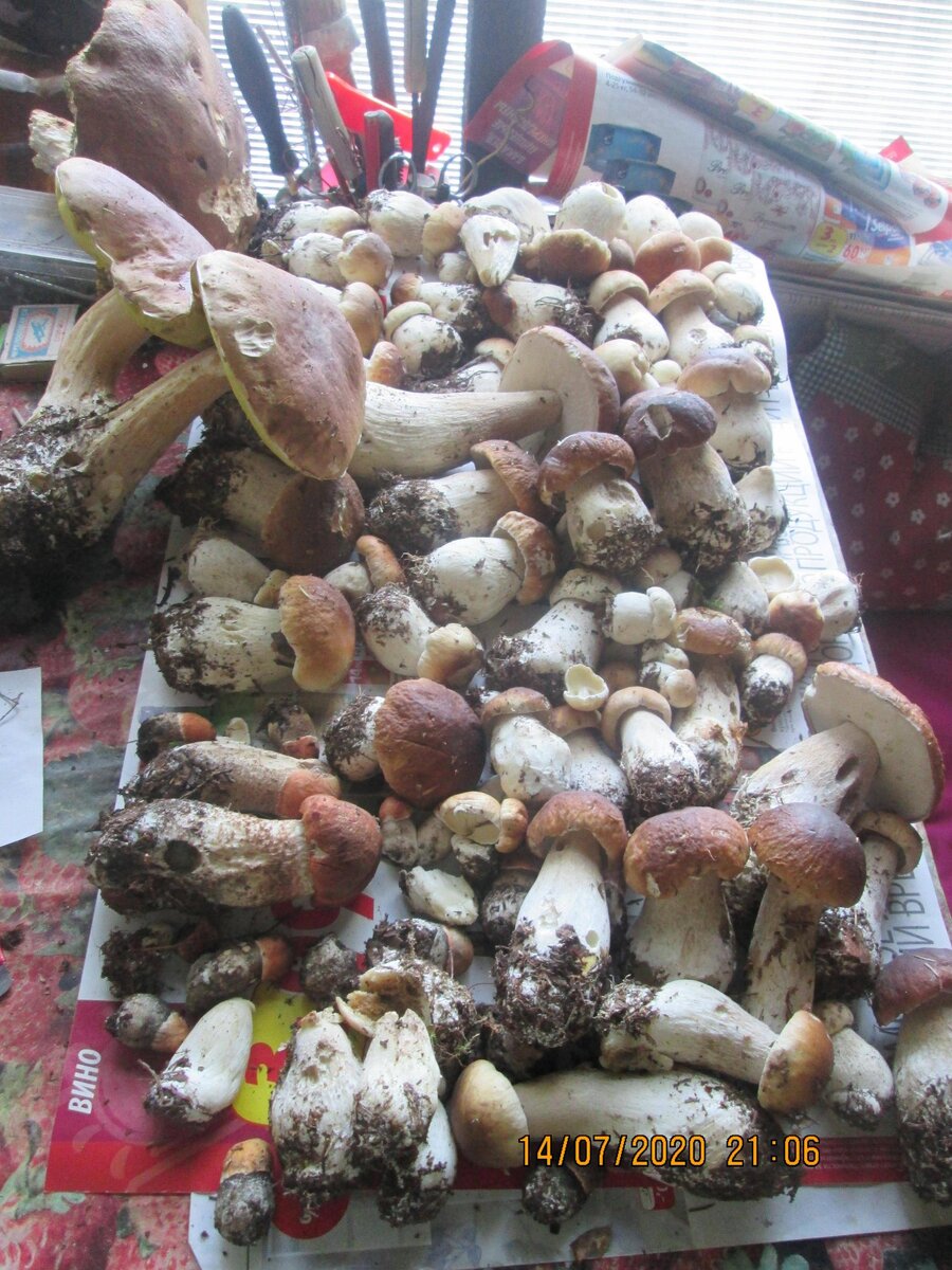 Фото с форума "Мама солдата"