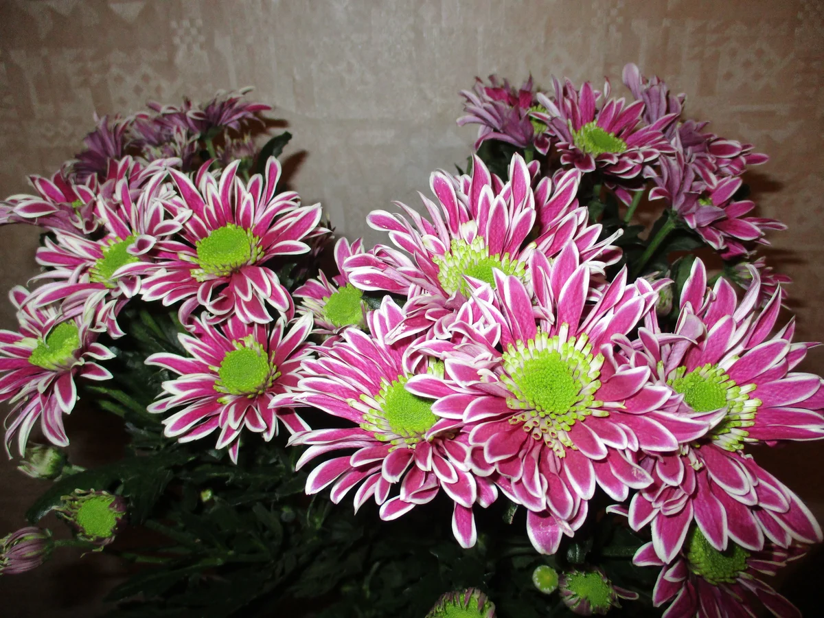 Источник - Яндекс Картинки