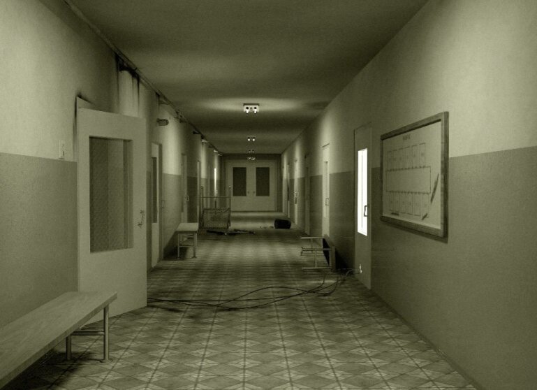 Эти страшные коридоры не скоро исчезнут из моей памяти