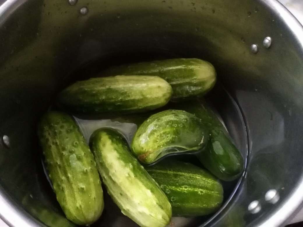 огурцы