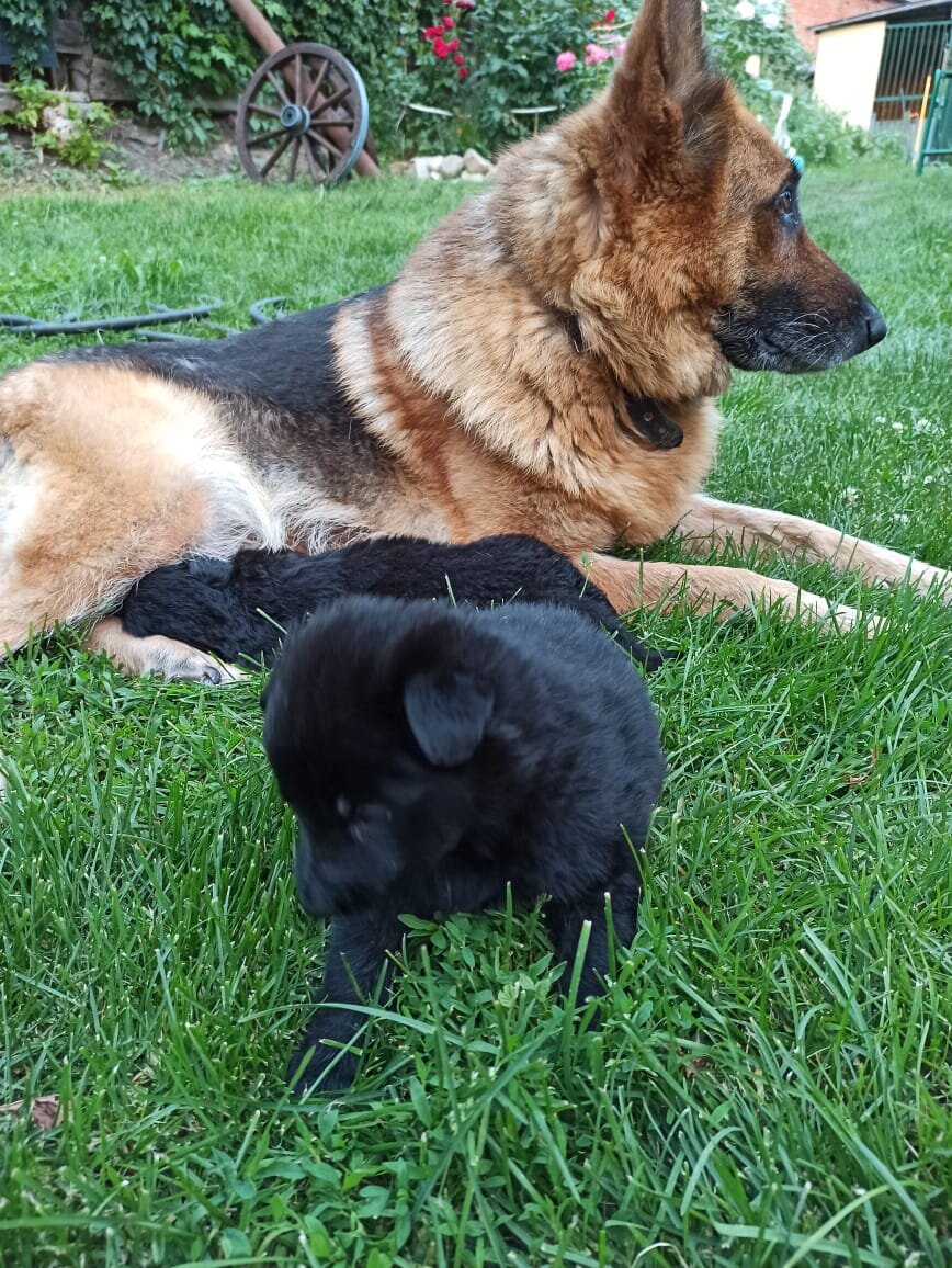 Что это? Травка?