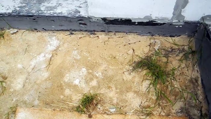  
Избыточное количество муравьев на участке чревато не только для растений, но и плохо в целом. Муравьи постоянно натаскивают грунт на садовые дорожки, бетон, тротуарную плитку, от чего приходится чаще подметать. Кроме этого они заползают в дом, обгрызают плоды на деревьях и урожай на грядках. А самое важное – муравьи разводят тлю. Они ее сами целенаправленно рассаживают на молодые побеги деревьев и свежие всходы на огороде. Пораженные тлей растения сильно страдают, а нередко и погибают. В связи с этим эффективней
бороться не с тлей, а муравьями, которые ее культивируют для получения от нее сахара, необходимого для питания маток.

