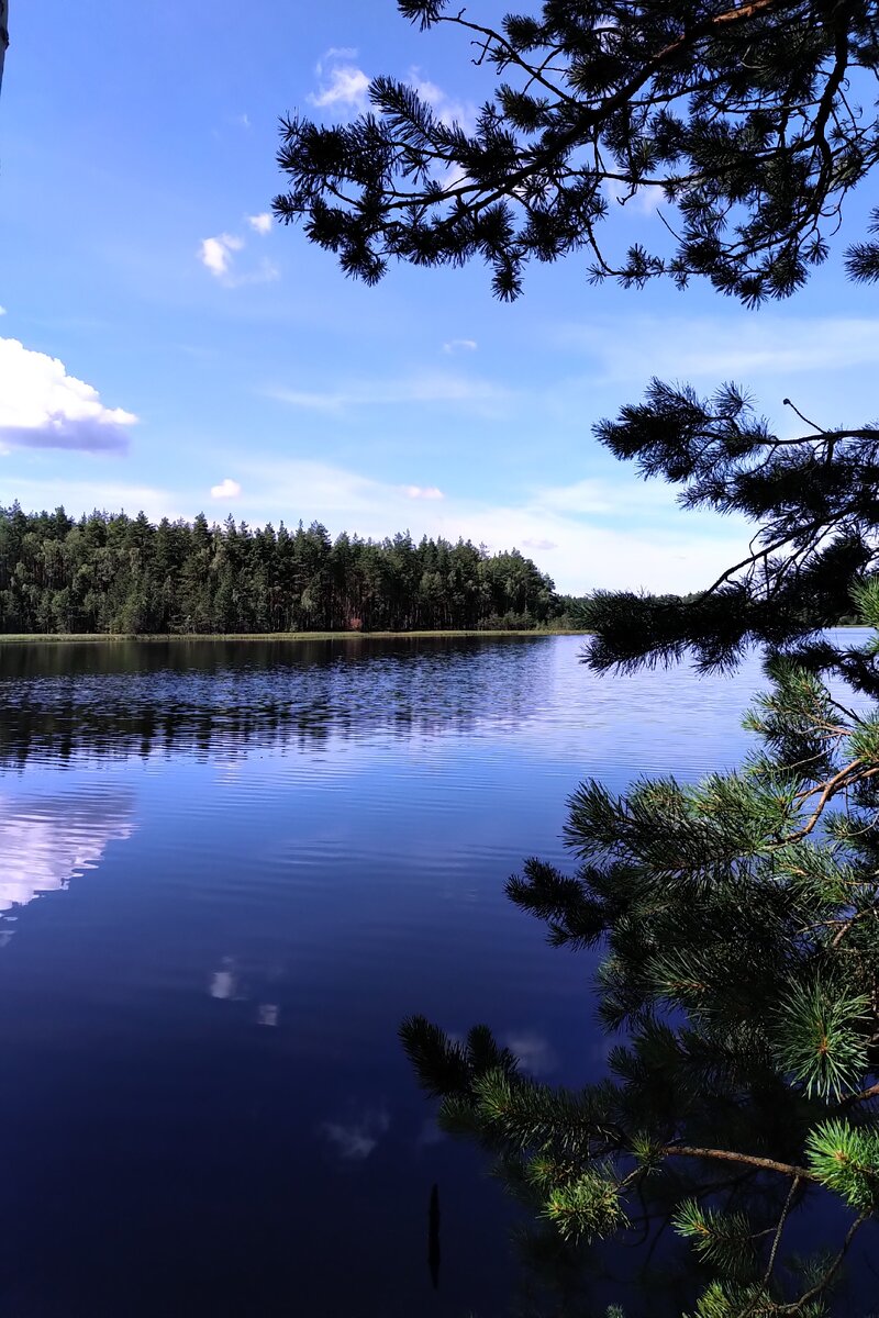 Озеро в Мещёре.