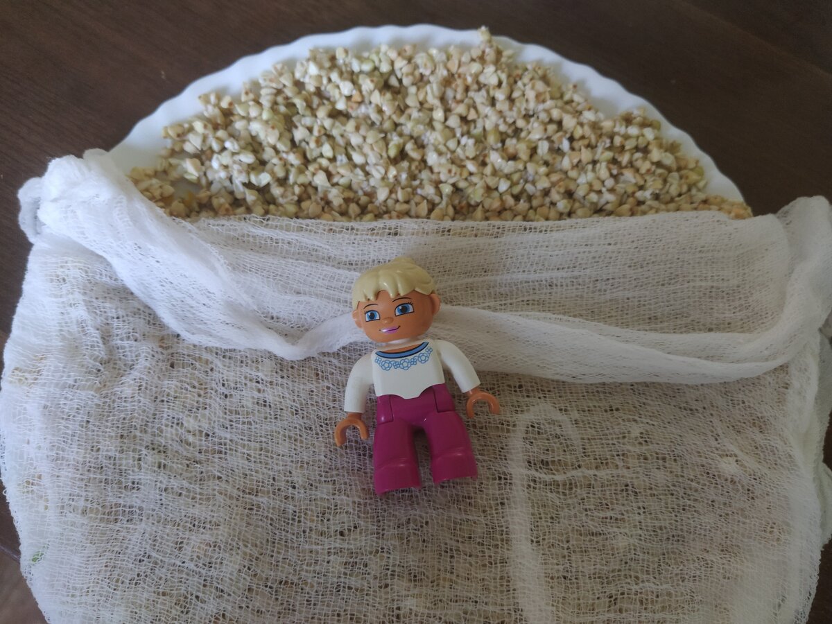 Важно, чтобы гречка не пересыхала, но и чтобы не было лишней влаги.  