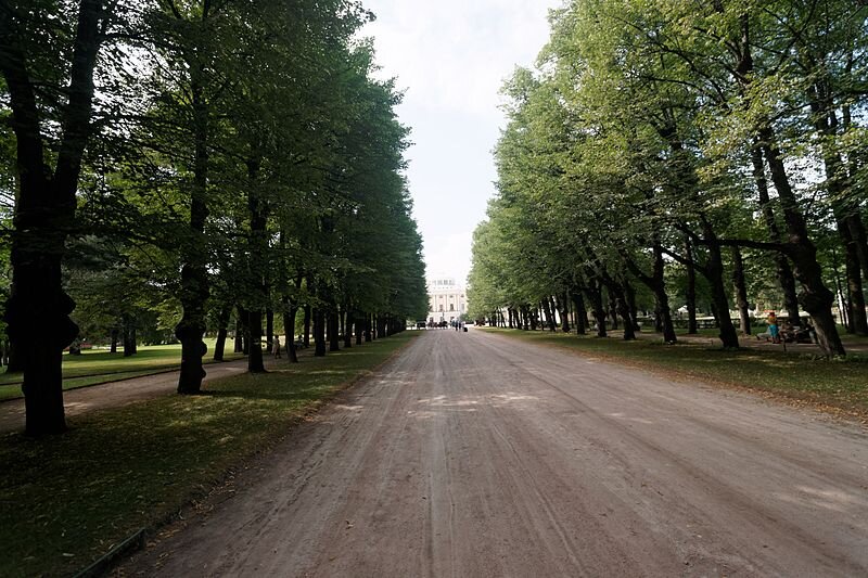 Аллеи в парке победы