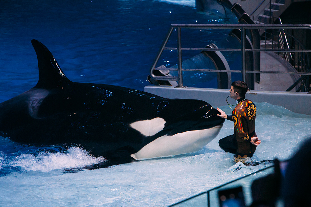 Все фотографии - с официального сайта ВДНХ