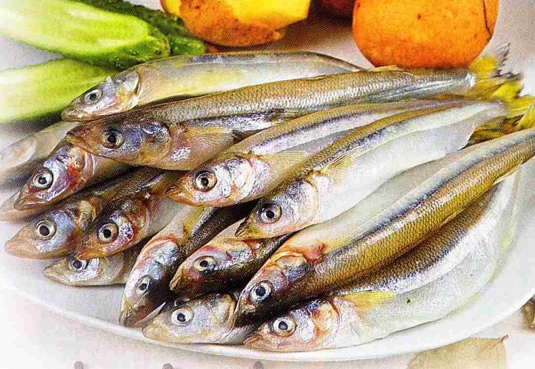 Рыба корюшка фото как выглядит и описание