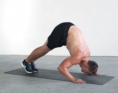 вариант отжиманий на плечи. Взято с: https://strong-life.ru/otzhimaniya-s-podnyatym-tazom-otzhimaniya/