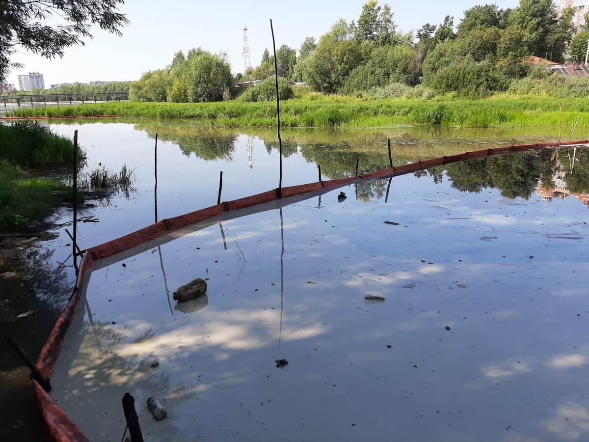 фото с сайта Яндекс-картинки