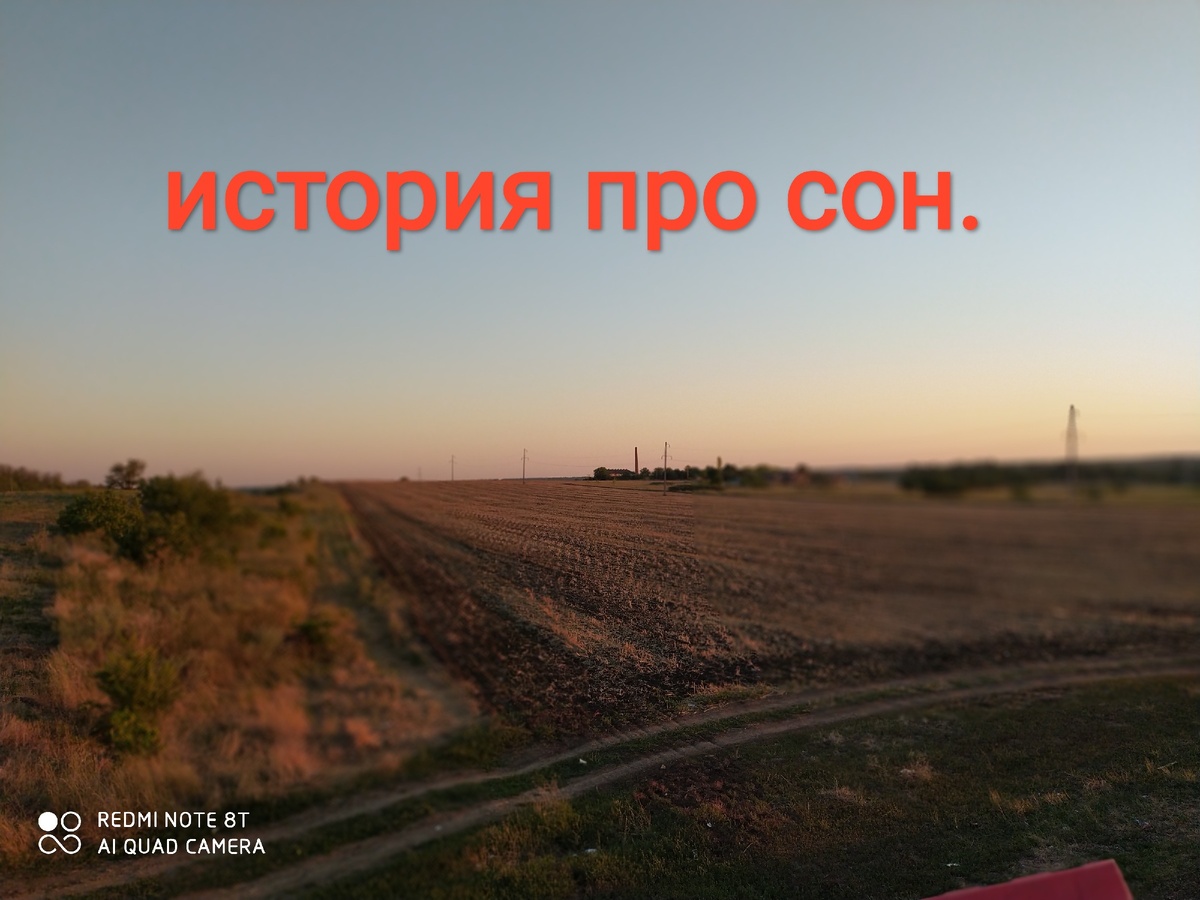 Сон. 