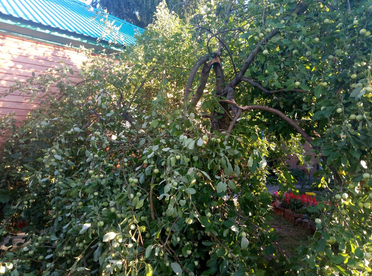 Наша "Уралочка" больше всех пострадала.