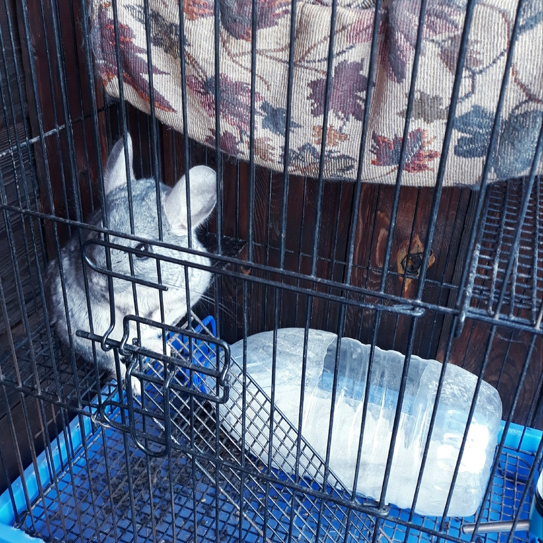 Готовится к приему душа.