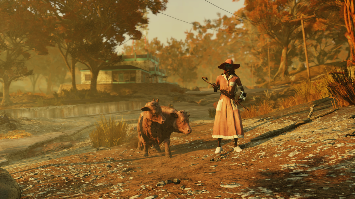 Девушка и брамин - скриншот из игры Fallout 76