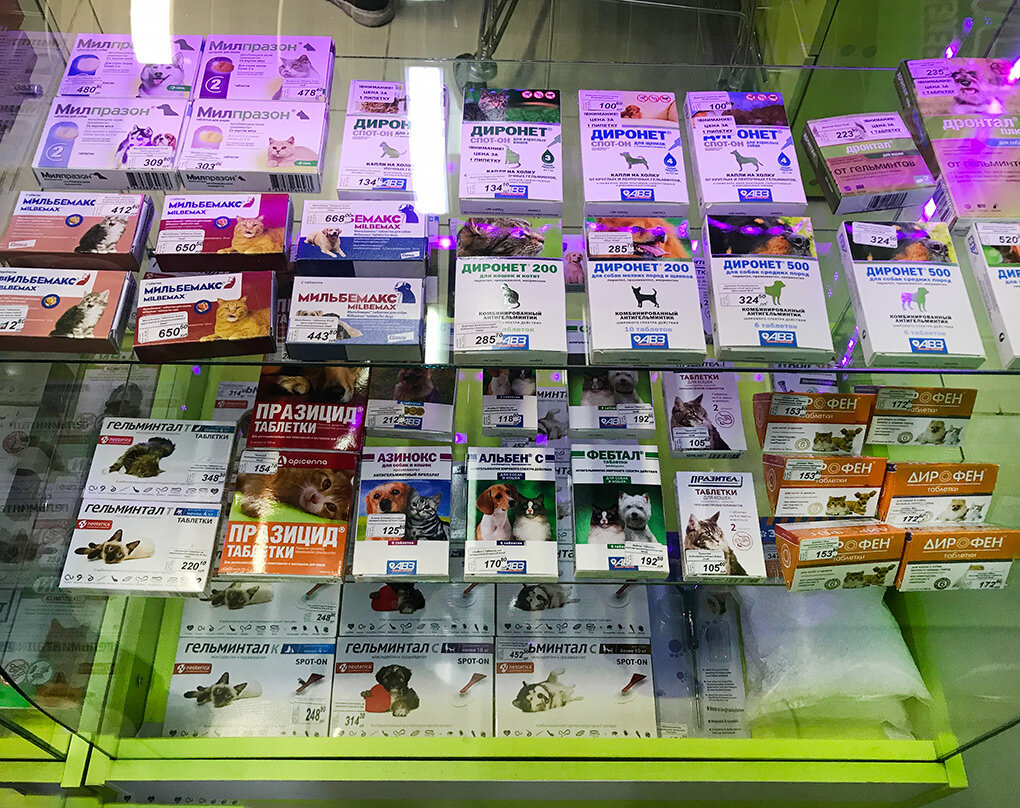 Будьте готовы к тому, что лечение вашего питомца - дело затратное! А питание специализированными кормами - тем более! 