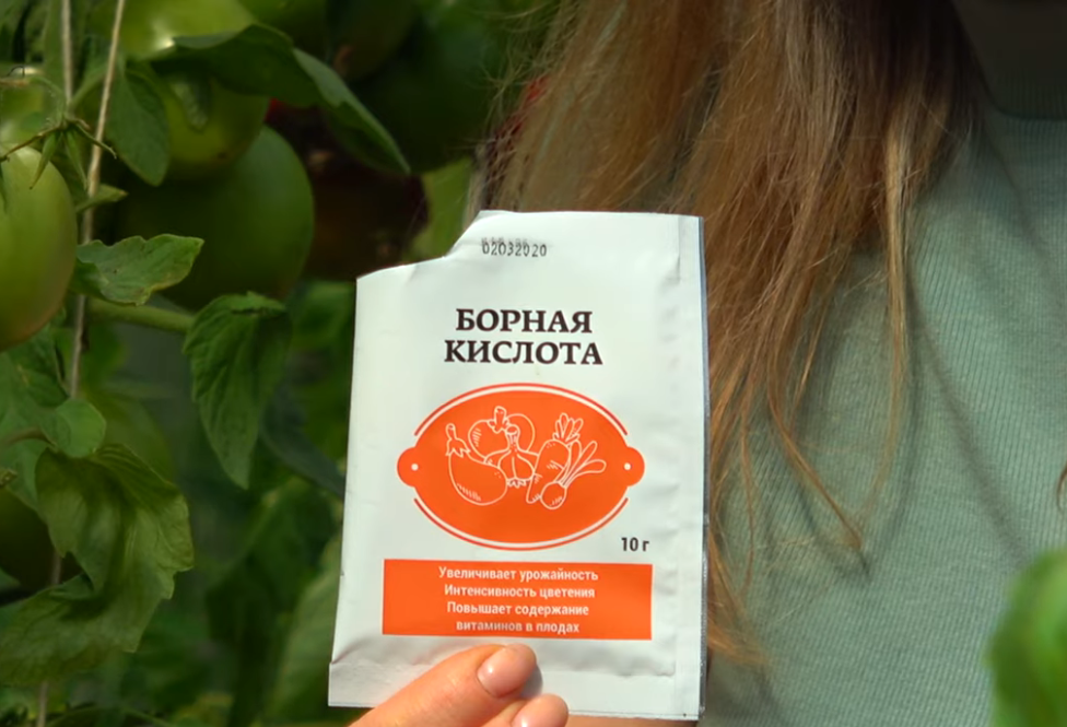 борная кислота для помидоров 