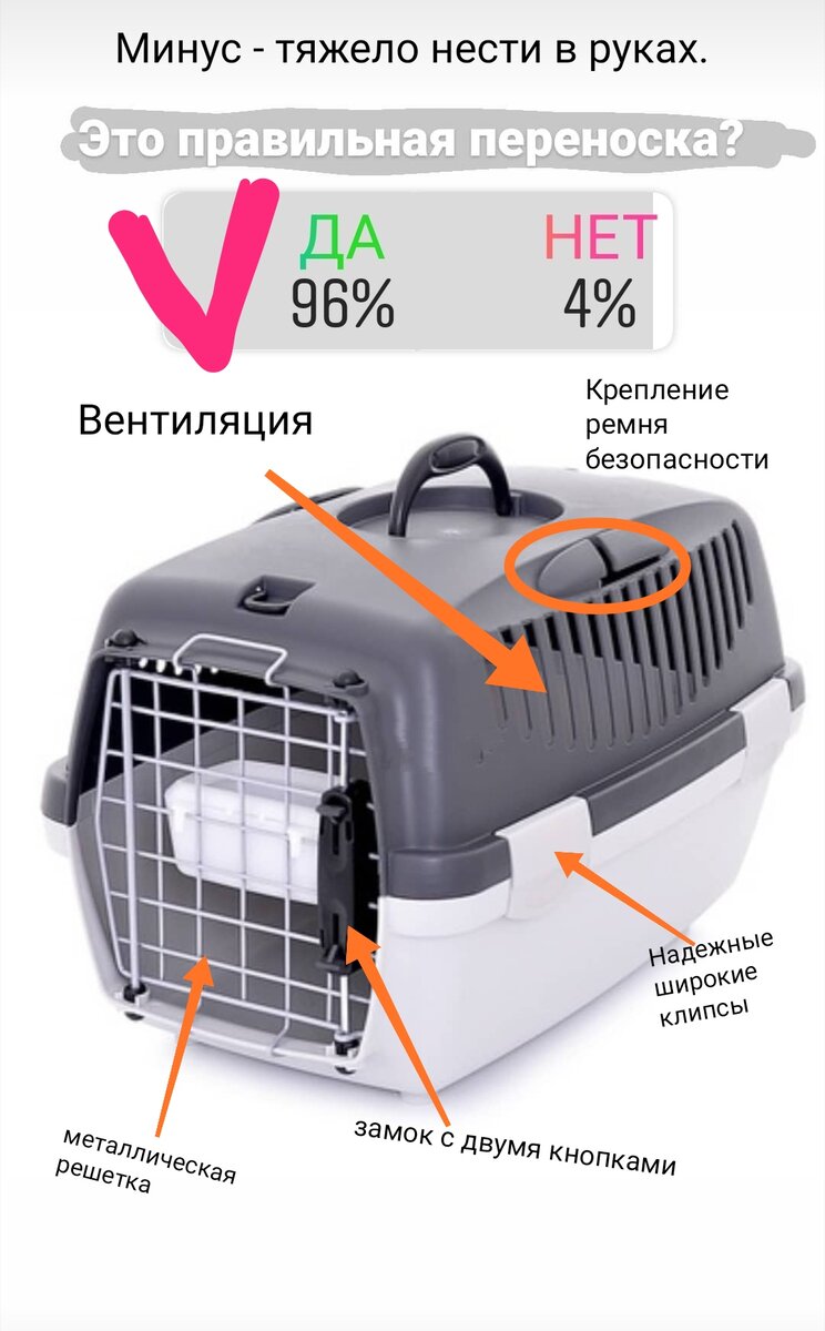 А у вас правильная переноска для кошки? | Дневник кошатницы | Дзен