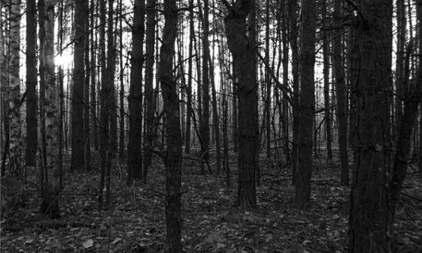 В лесополосе у профилактория «Чистый ключ» в минувшую среду, второго сентября, пожилой мужчина на велосипеде напал на женщину. 
Как стало известно Порталу KU66 из собственных источников, на вид нападавшему лет 60, он передвигался на синем велосипеде от висячего моста в сторону Трубного.

По сводкам полиции, сообщение прошло, как «попытка изнасилования».

Приметы подозреваемого: рост 165 см, темно-русые волосы, худощавого телосложения, черный костюм с белыми лампасами.

В СК по Каменску-Уральскому никаких подробностей происшествия не сообщили, но уточнили, что по данному факту в настоящее время проводится проверка.