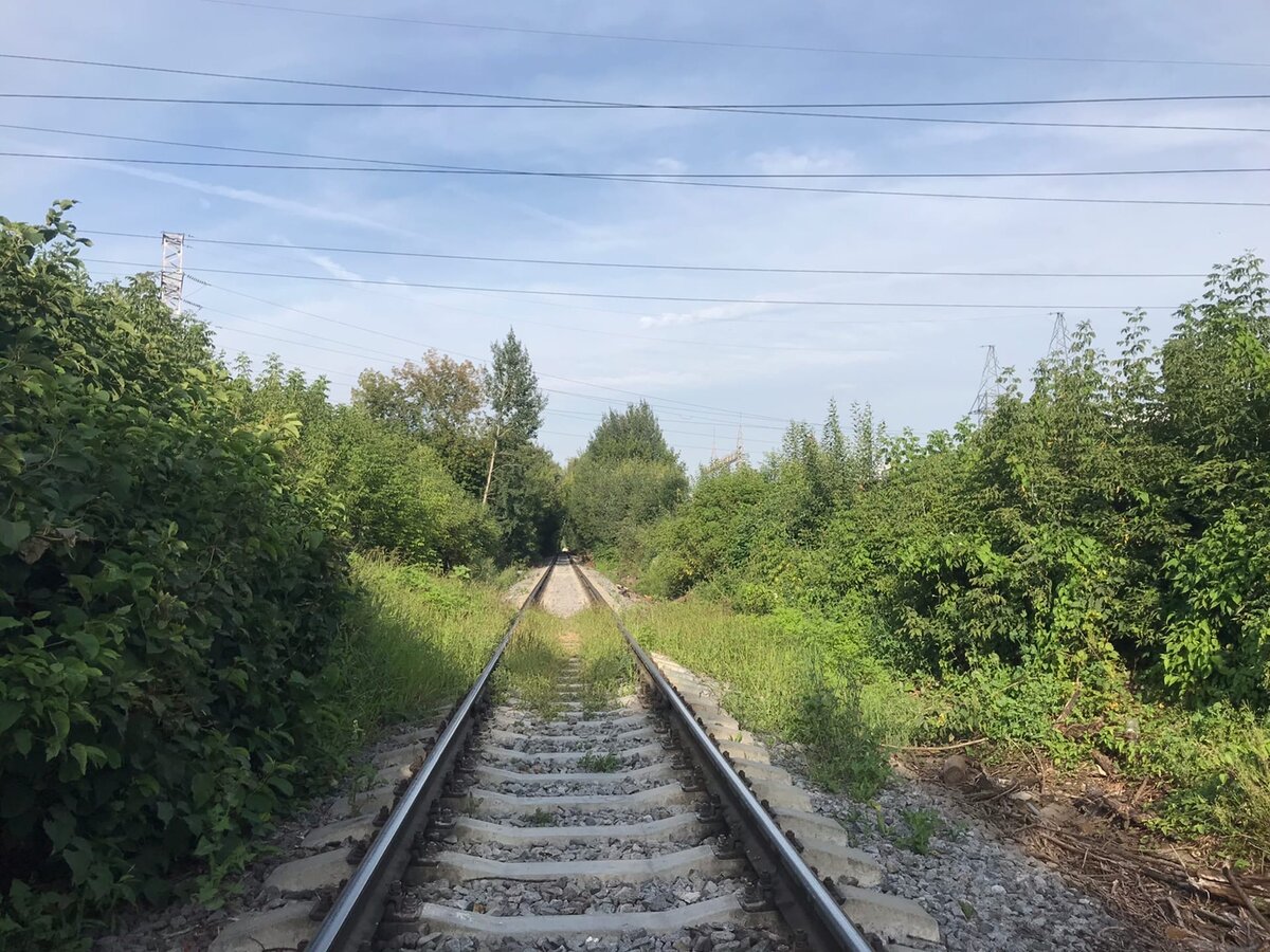 Ещё вид на подъездной путь, берущий свое начало на Бескудниково.