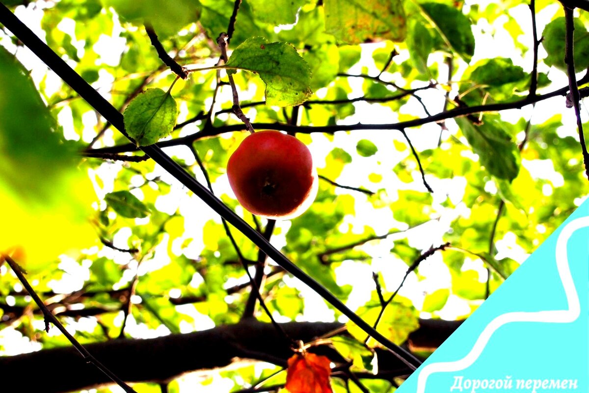 Каждый пожинает плоды своего труда