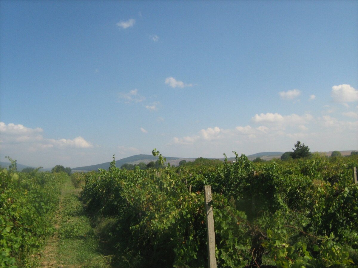 Сунгурларская долина , Болгария