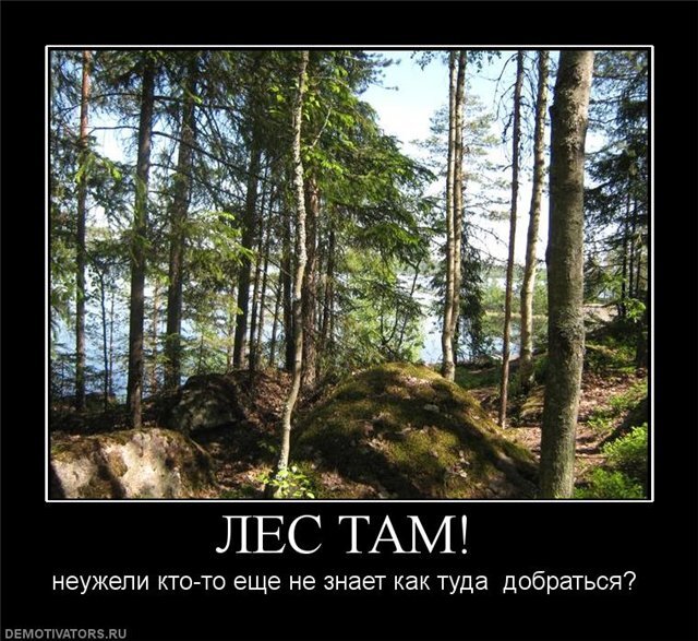 Демотиватор взят из открытого доступа в Яндексе. 