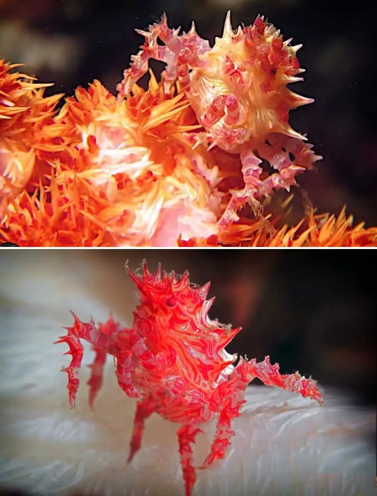 Необычное рядом