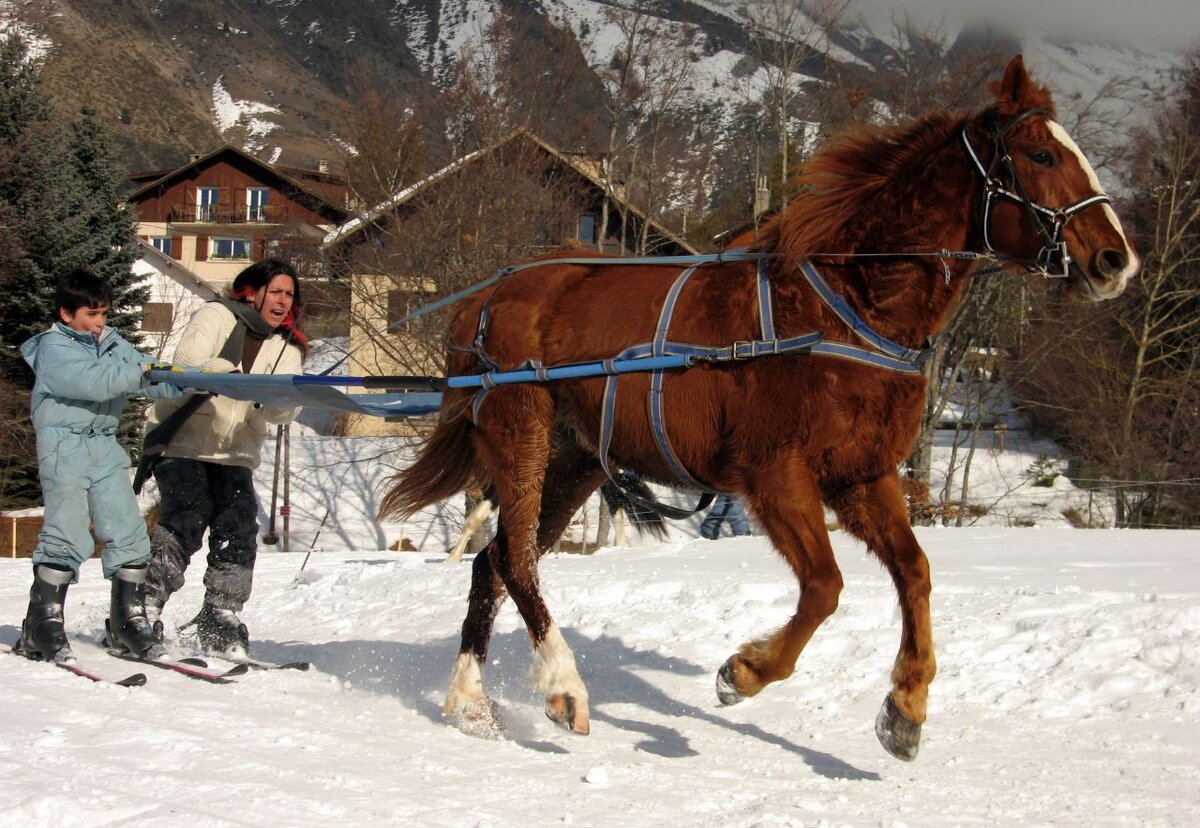 Для тех, кто занимается скиджорингом, эти советы тоже подойдут.