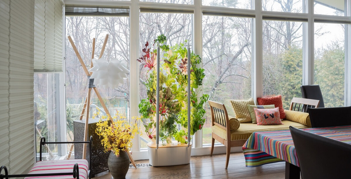 Вы можете заметить здесь продукт высоких технологий?                                      Изображение с сайта VentureBeat