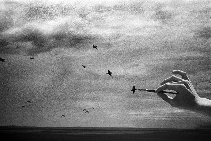 фото с просторов интернета