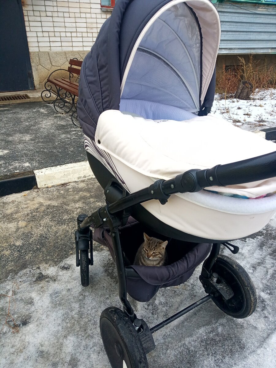 Фото из личного архива