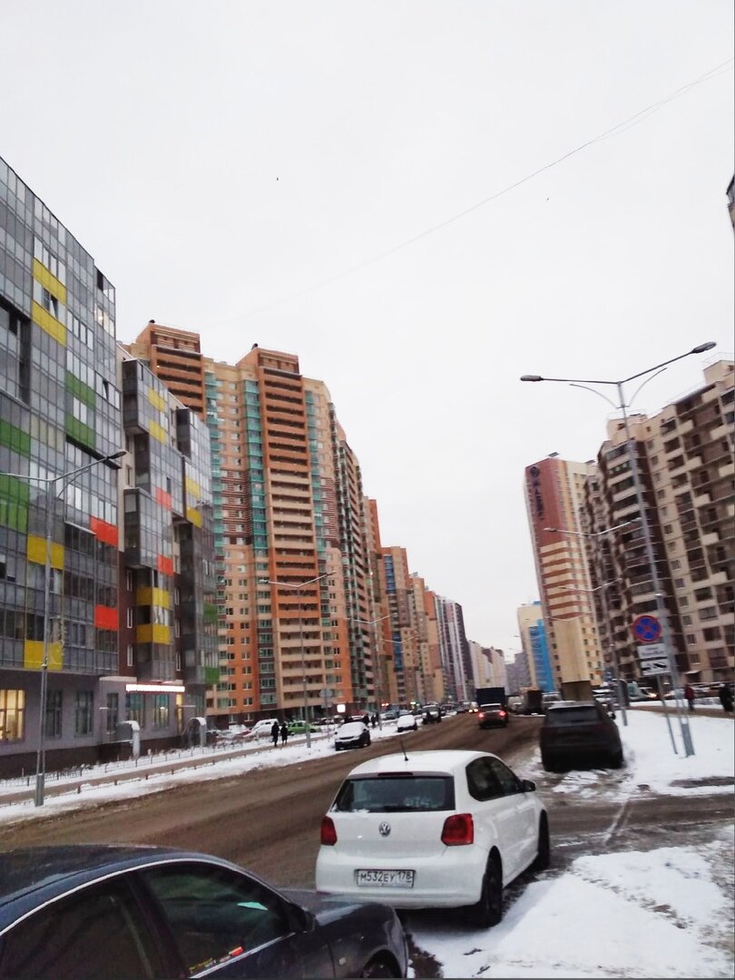 Каменные "джунгли" .