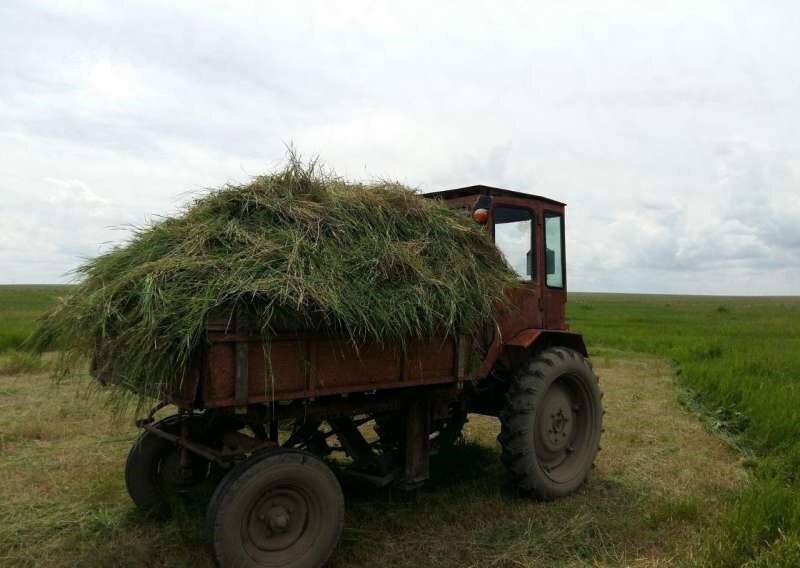 Перегруженный Т-16. Источник фото: ehkskavator.ru