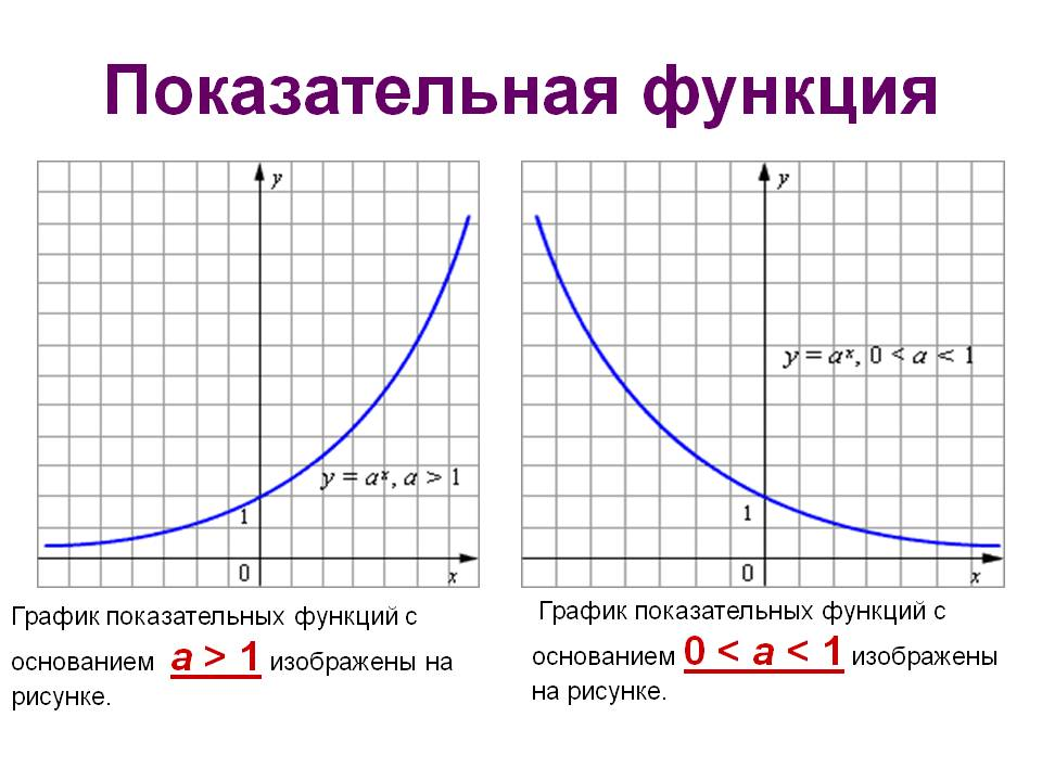 Какую функцию имеет график. График показательной функции. Графики показательных функций. Функции показательной функции. Экспоненциальная функция и показательная функция.