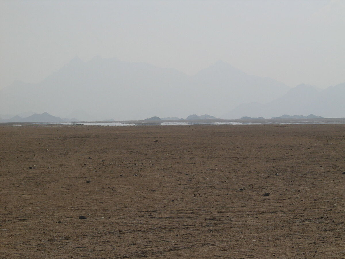 Фото взято из Wikipedia