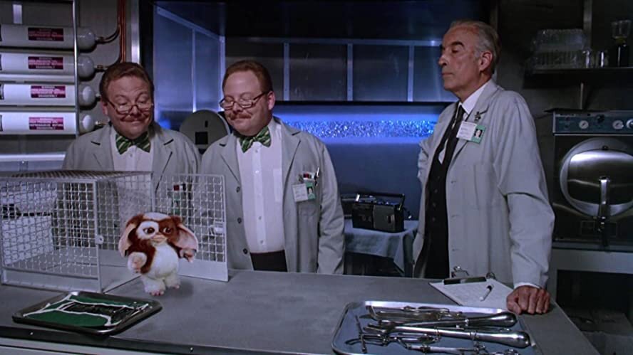 Наш любимый Гизмо