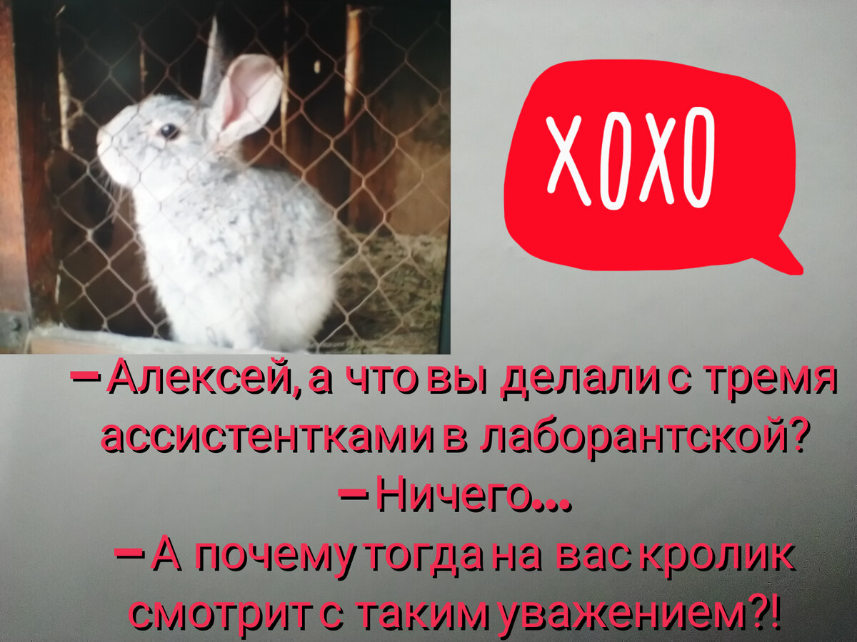 С тремя? конечно загнул народ, но уважение кролика того стоит