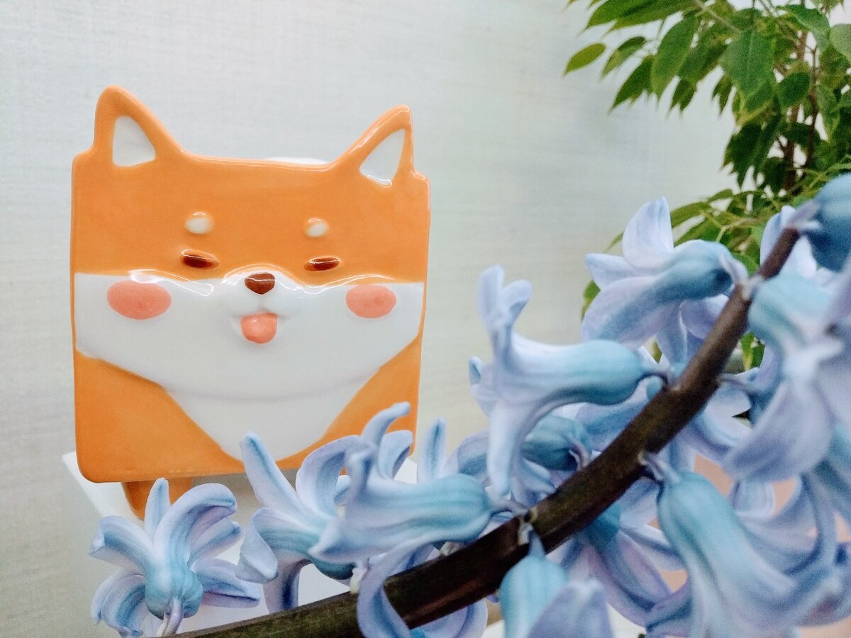 Керамический горшок собака сиба-ину