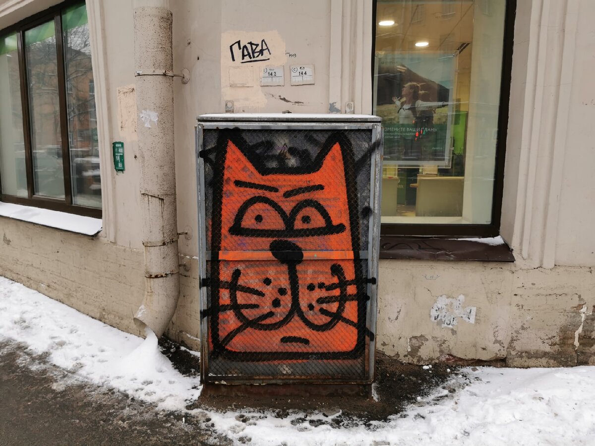 Я вот котиков люблю)