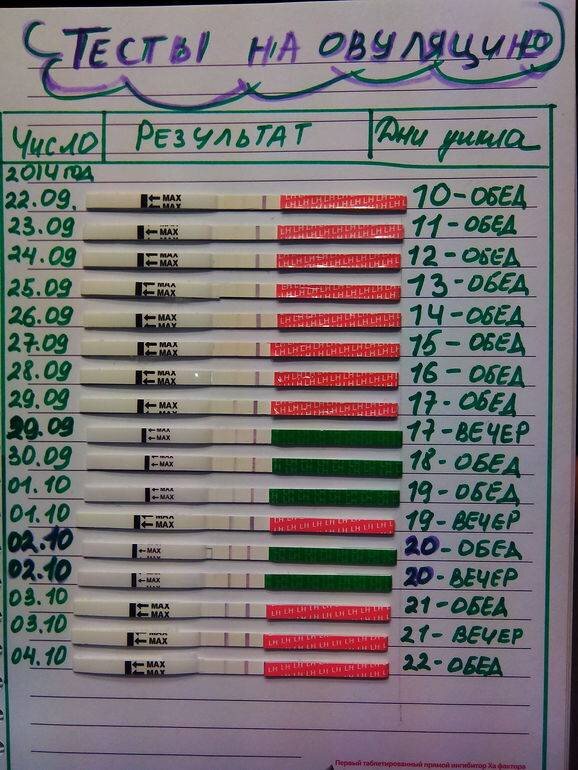 Как измерить овуляцию. Тест на овуляцию. Результаты теста на овуляцию. Темив еа овуляцью. Тесты определяющие овуляцию.