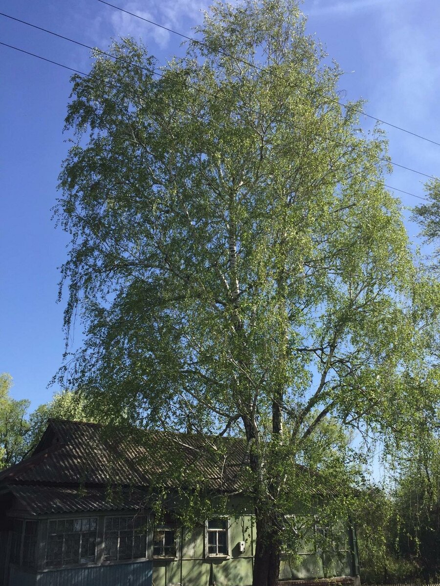 ЭТО ЕЩЕ ОДИН ДОМ В НАШЕЙ ДЕРЕВНЕ