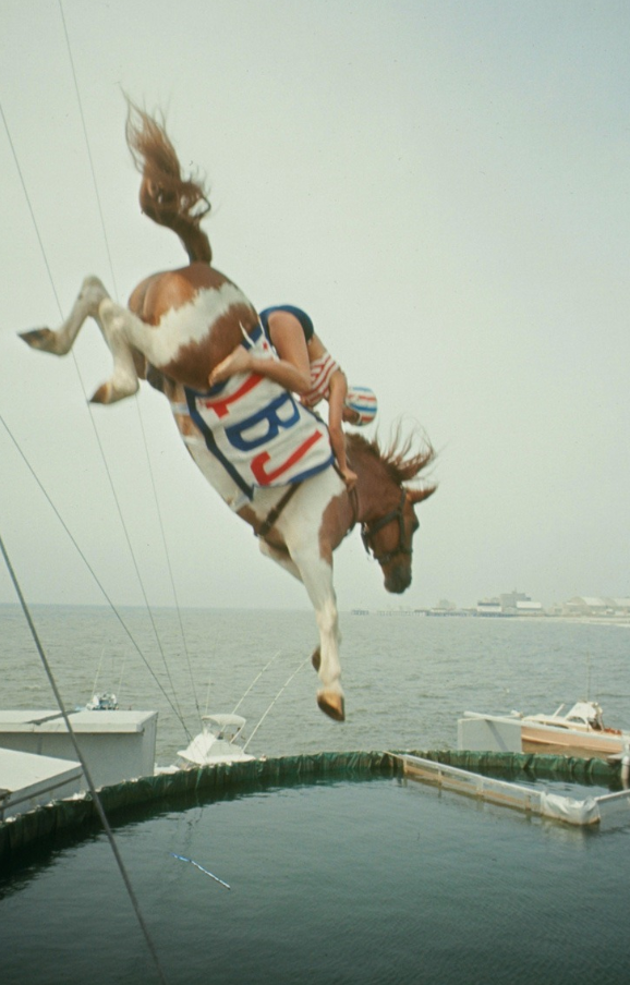 Лошадь ныряет в воду в Атлантик-Сити. Колоризованное фото. Фото: georgelazenby/Flickr