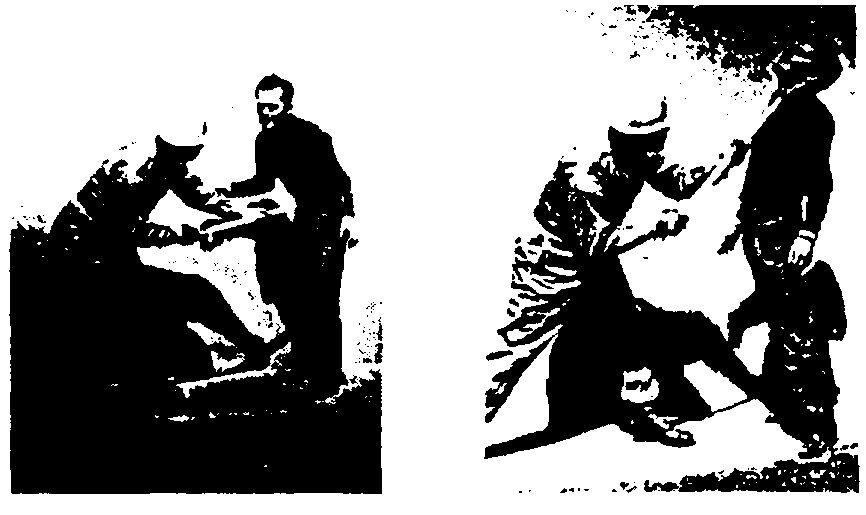 Слева: сильный удар или укол в область яичек, паха, живота или солнечного сплетения выведет из строя большинство членов толпы. Обычно после этого следует подшаг стоящей сзади ногой и нанесение удара творцом палки в область подбородка или головы. Это обезвреживающая тактика используется против жестокого противника. Справа: удары, подобные этому, в адамово яблоко или в область челюсти выводят из строя и могут быть смертельными. Обычно тот же самый сильный толчок вверх в область тела выводит противника из строя с гораздо меньшими шансами на летальный исход. 