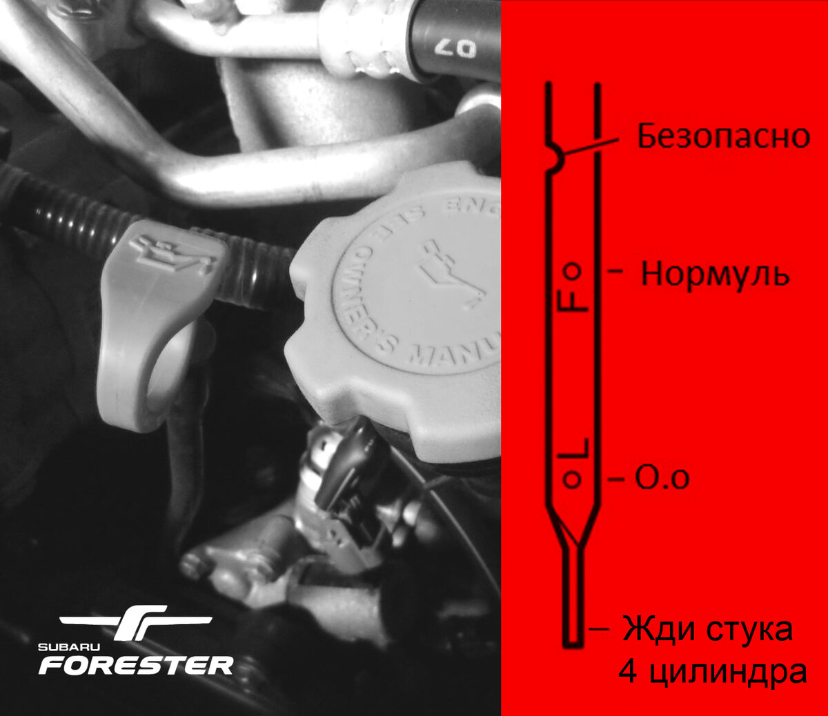 FB20 - чем чреват низкий уровень масла? - Жидкости - CLUB SUBARU FORESTER