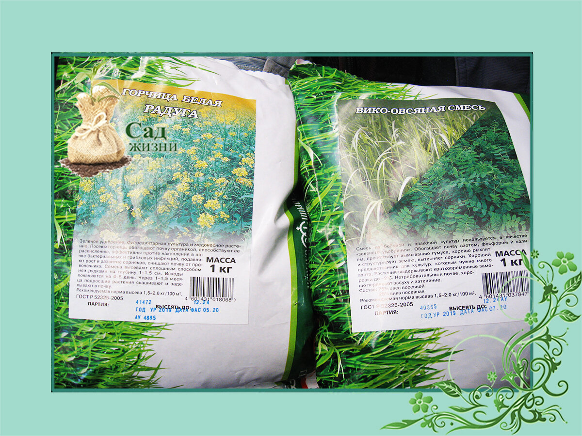 Сидераты весной